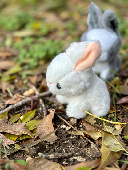 My Bunny Plushie