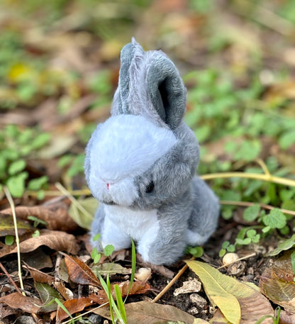 My Bunny Plushie