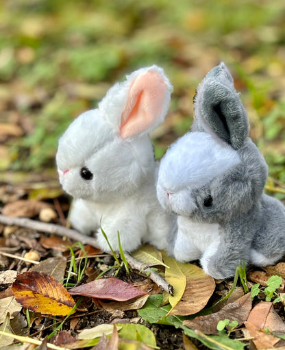 My Bunny Plushie